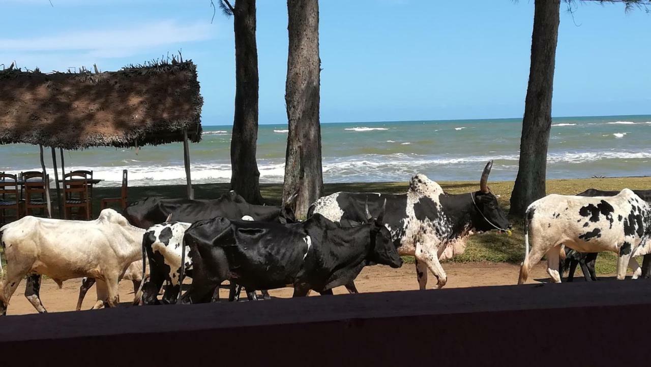 Chez Zizou Manakara Hotel Bagian luar foto